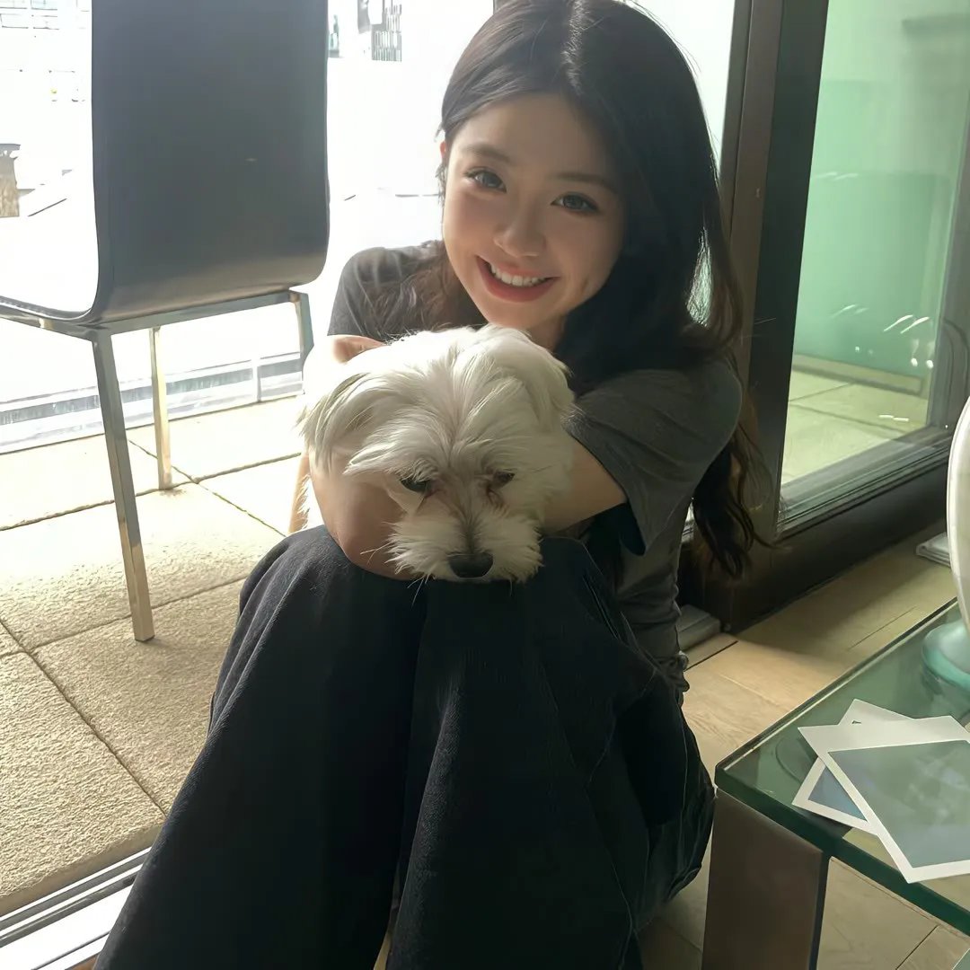 胆大党
